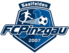 FC Pinzgau
